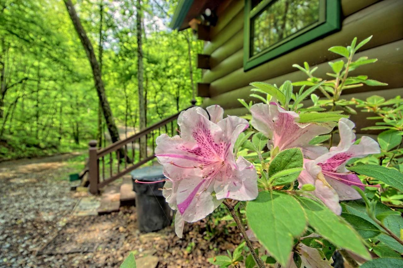 Tree Song Mountain Creek Cabin Ellijay Exterior foto